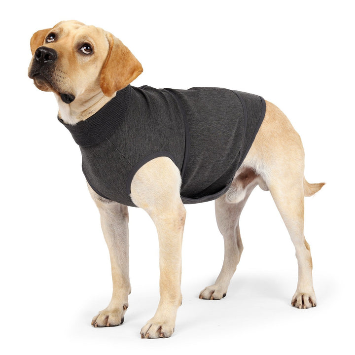 The Ultimate Comfort for Your Pet: The Pet Polyester Cotton Comfort Double Jacket